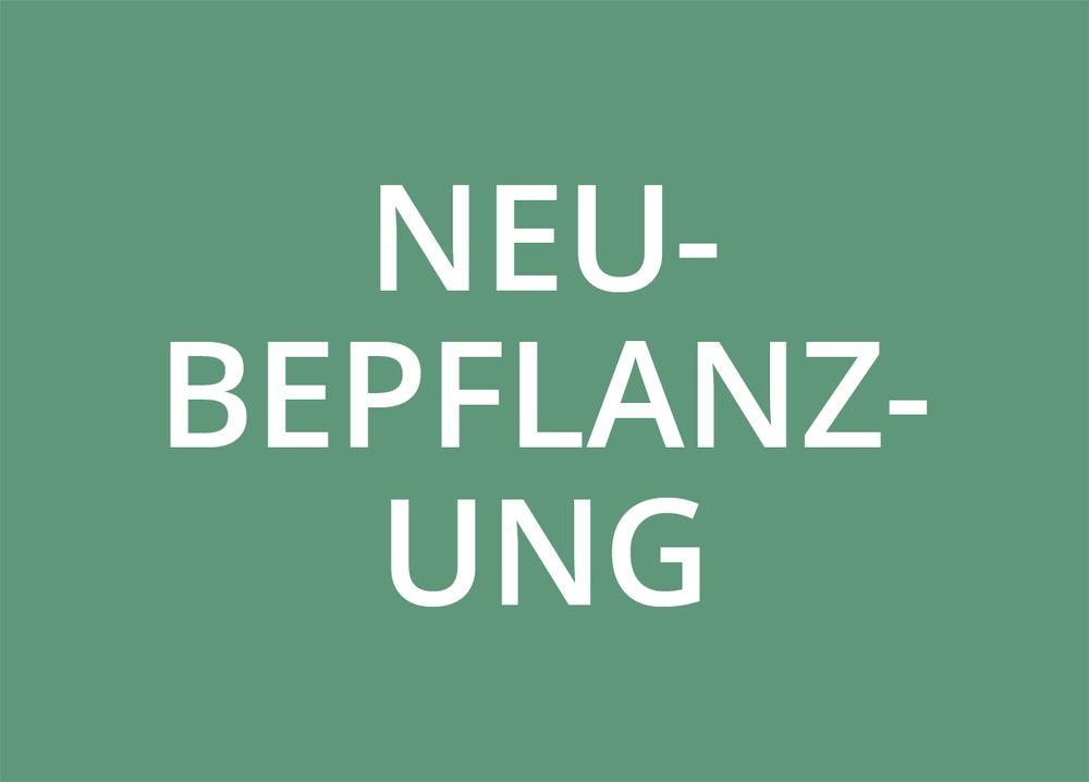 WOKA_Waldinteressierte_AngeboteNeubepflanzung_590x424.jpg WOKA_Waldinteressierte_AngeboteNeubepflanzung_590x424