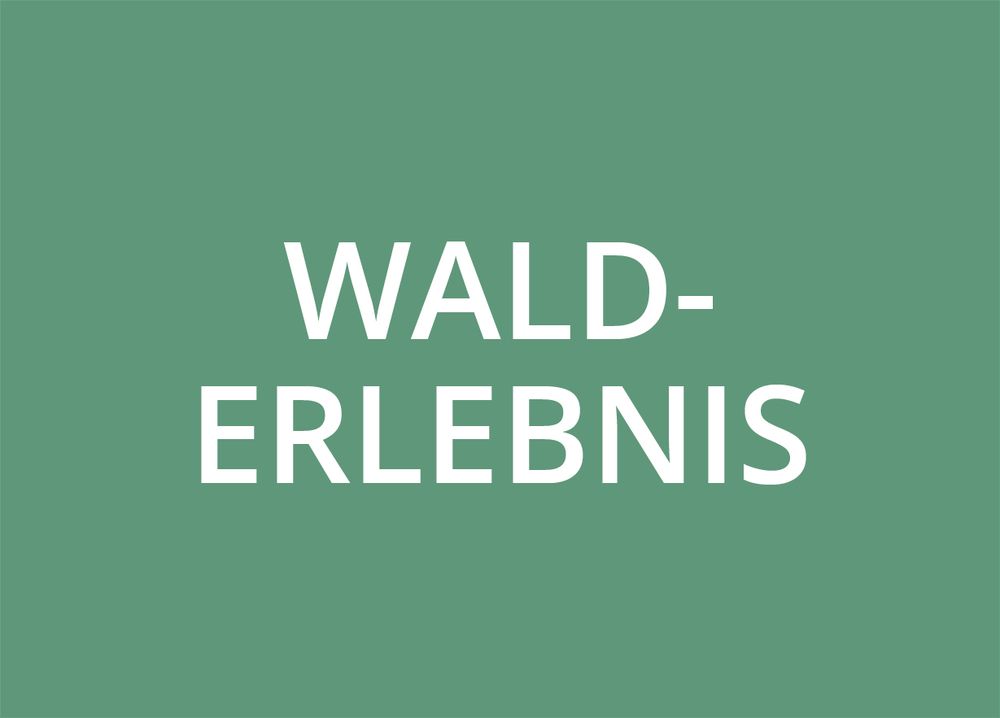 WOKA_Waldinteressierte_AngeboteWalderlebnis_590x424.jpg WOKA_Waldinteressierte_AngeboteWalderlebnis_590x424