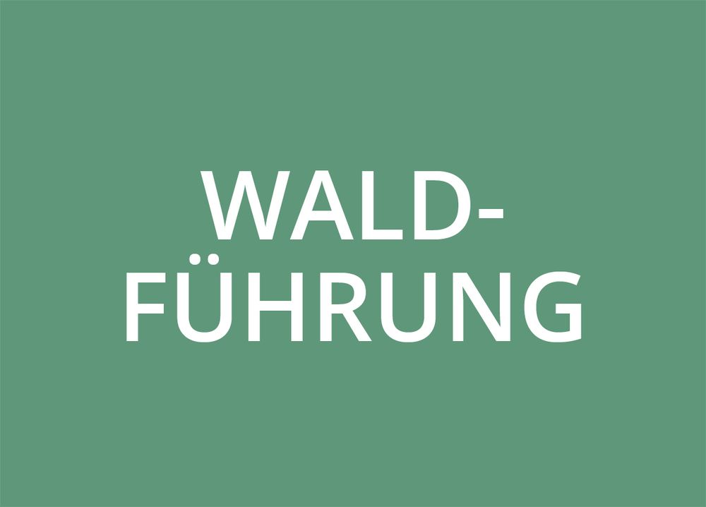 WOKA_Waldinteressierte_AngeboteWaldfuehrung_590x424.jpg WOKA_Waldinteressierte_AngeboteWaldfuehrung_590x424